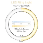 SH 10 inch 26cm Ring Light With Tripod Stand Usb Charge Selfie Led Dimmable Photography Video Lamp For Makeup Live Stream