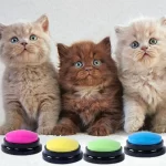 Pet Sound Box Recordable Talking Button Cat Voice Recorder Talking Toy For Pet Communication Training Tool Squeeze Box Dog Toys