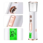 Portable Facial Steamer Nano Mist Sprayer Nebulizer Skin Moisturizing Handy Humidifier Skin Tester Face Sprayer Machine