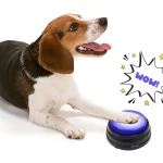 Recordable Talking Button Phonograph Answer Buzzers Voice Recording Sound Button Portable Kids Interactive Toy Noise Makers