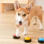 Plastic  Dog Training Speaking Button Recordable Dog Buttons  Recordable Training Buzzers Puppy Speech Training Button