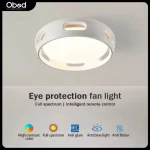 Modern LED Ceiling Fan Light Dimmable Leaf Less Design Fan Lights Living Rooms Bedrooms Dining Rooms Household Electric Fans