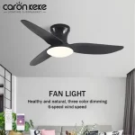 LED Ceiling Fan Light Intelligent APP Modern Simple Low Floor Strong Wind AC110/220V Remote Control Dimmable Household Fans